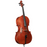 Hunter Fine Cello 4/4 Laminate and Flamed (AVAILABLE FOR PICKUP AT STORE)