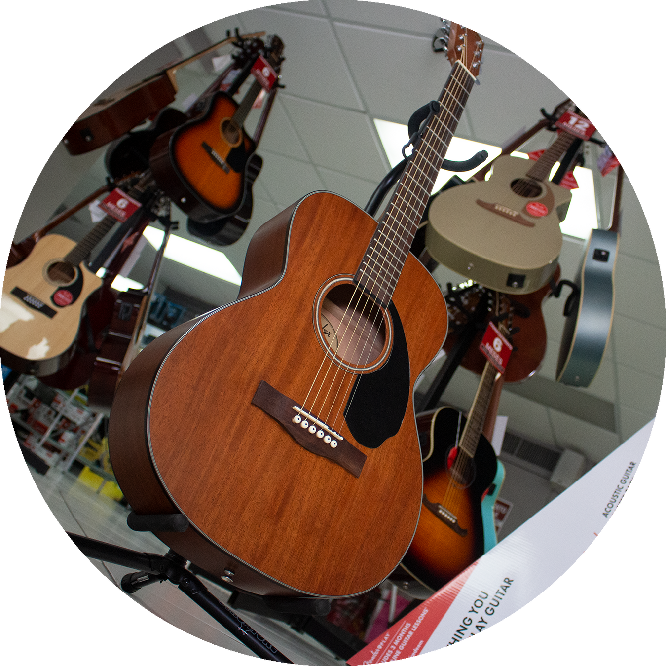 Acoustic Guitar