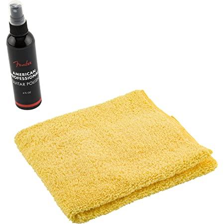 Fender Polish and Cloth Care Kit