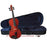 Hoffer Student Violin 3/4