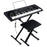 Alesis Harmony 61 MKII 61-Key Portable Arranger Keyboard (AVAILABLE FOR PICKUP AT STORE)