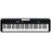 Casio Casiotone CT-S200