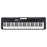 Casio Casiotone CT-S300