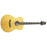 PRS SE Tonare TX20E Acoustic/Electric - Natural