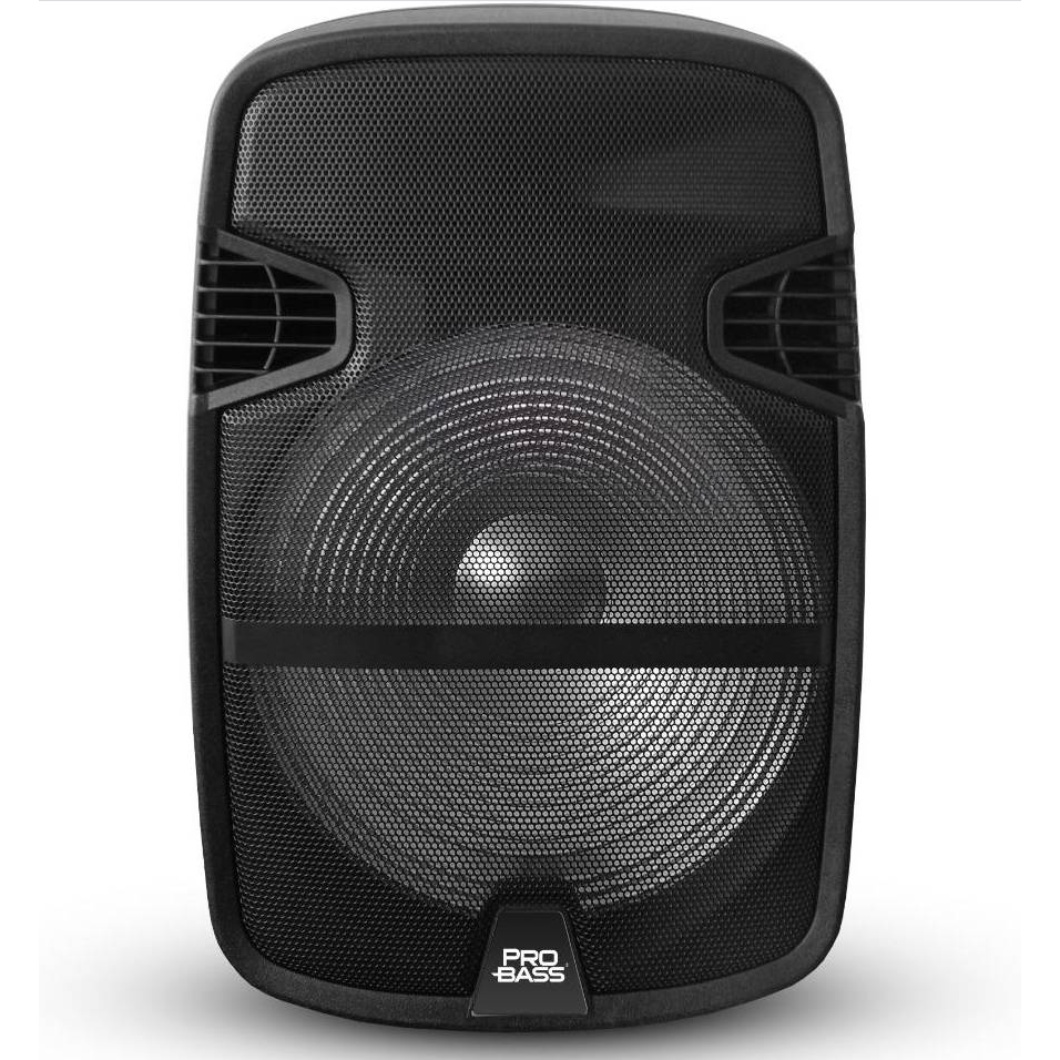 Pro Bass 15